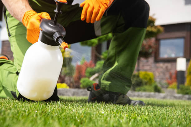Best Affordable Pest Control Services  in Merriam, KS