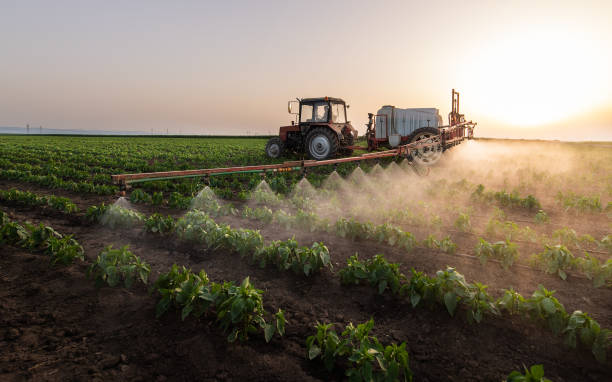 Professional Pest Control in Merriam, KS