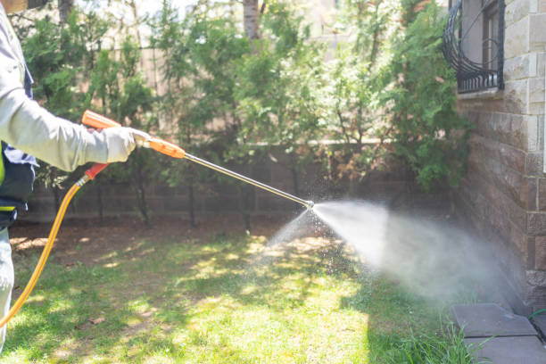 Best Flea Control Services  in Merriam, KS