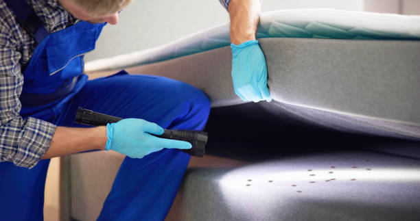 Pest Control for Restaurants in Merriam, KS