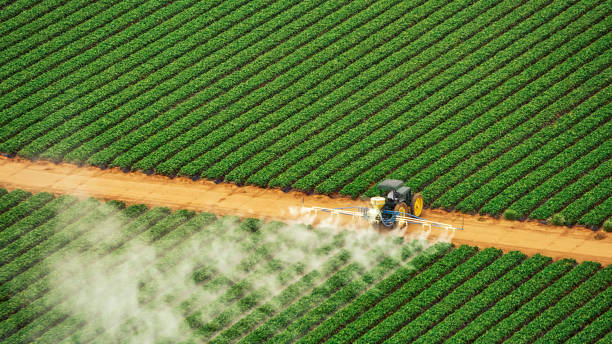 Best Commercial Pest Control Services  in Merriam, KS