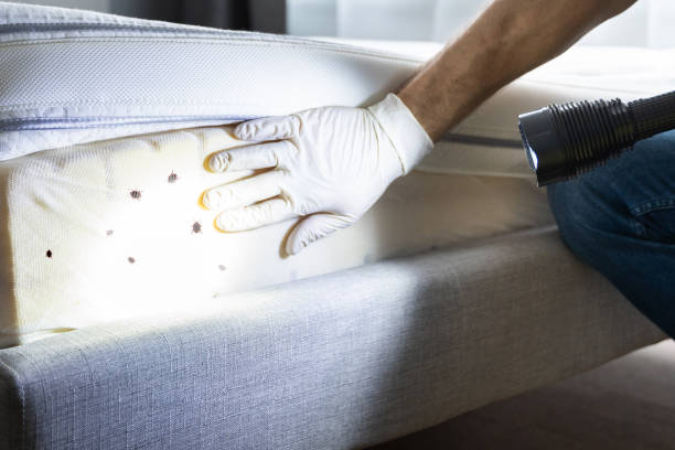 Best Pest Control for Businesses  in Merriam, KS