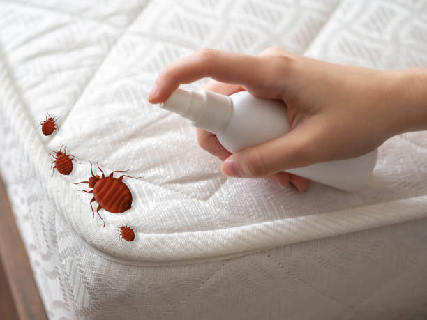 Best Pest Control Near Me in Merriam, KS