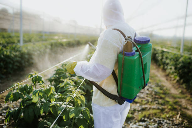 Best Bed Bug Extermination  in Merriam, KS